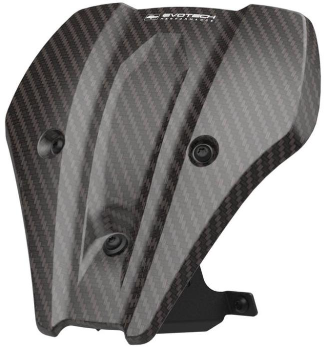 BMW F 900 R (2025+) Windschild (Carbon) von Evotech Performannce